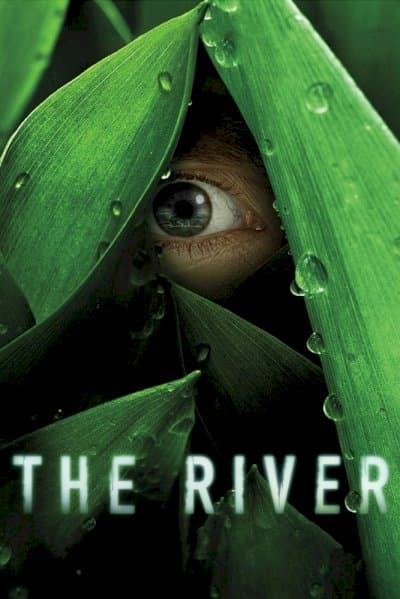 The River