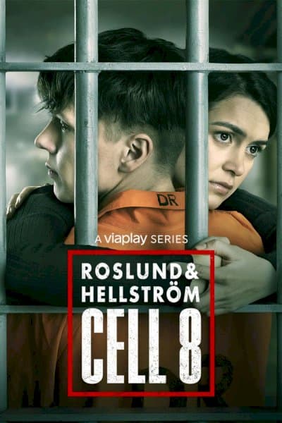 Roslund & Hellström: Box 21