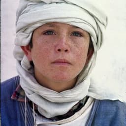 Kelly Reno