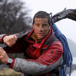 Bear Grylls