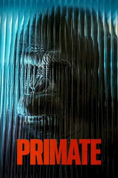 Primate