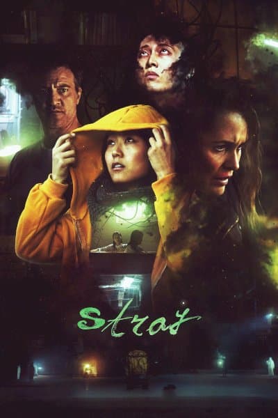 Stray