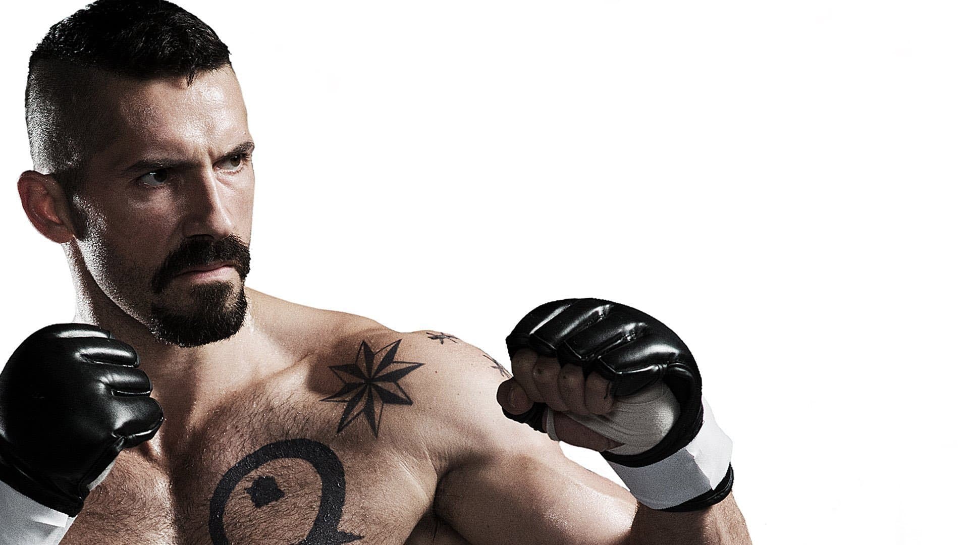 Undisputed 4: Boyka