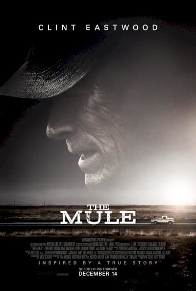 The Mule
