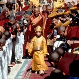 Tulku Jamyang Kunga Tenzin
