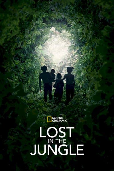 Lost in the Jungle