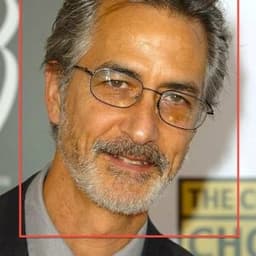 David Strathairn