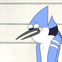 J.G. Quintel