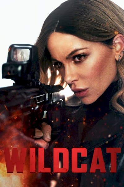 Wildcat