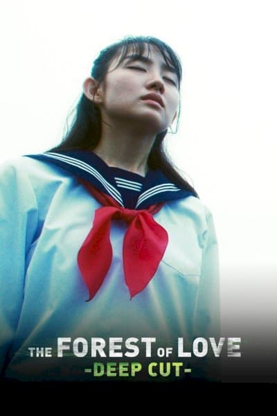 The Forest of Love