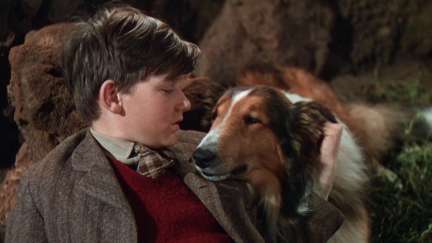 Psych 2: Lassie Come Home