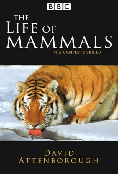 The Life of Mammals