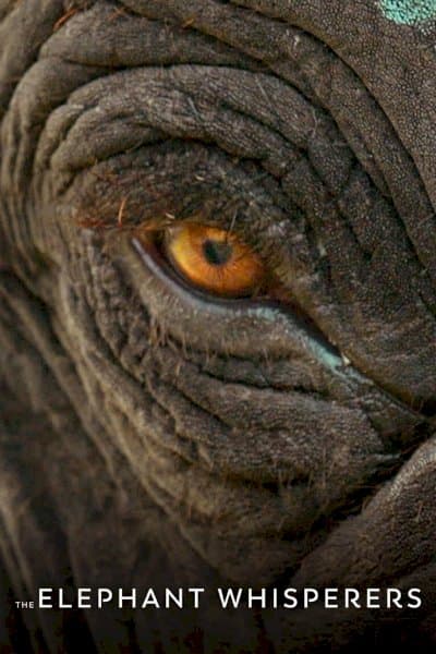 The Elephant Whisperers