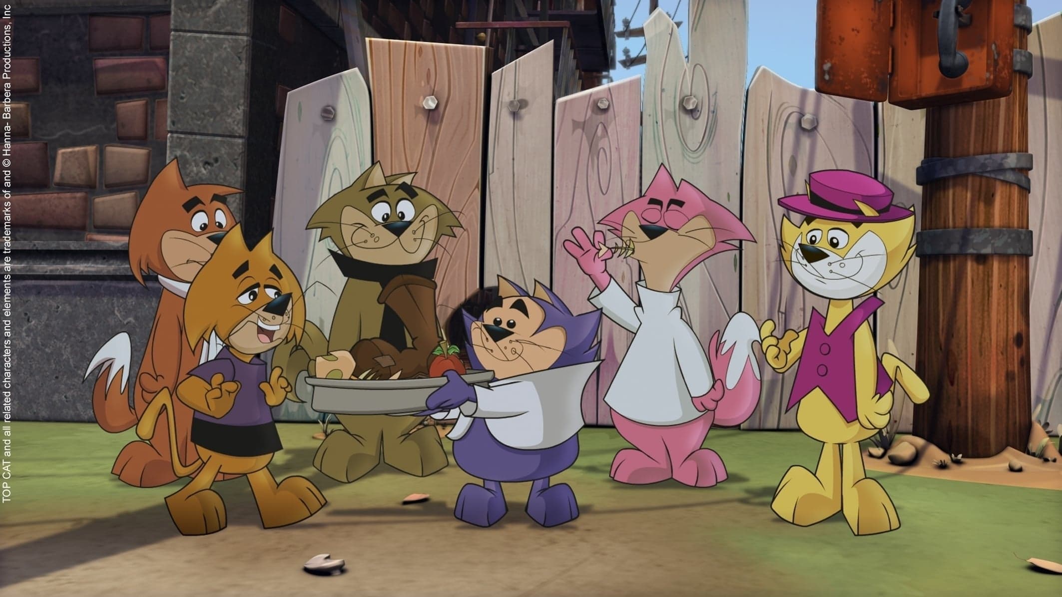 Top Cat