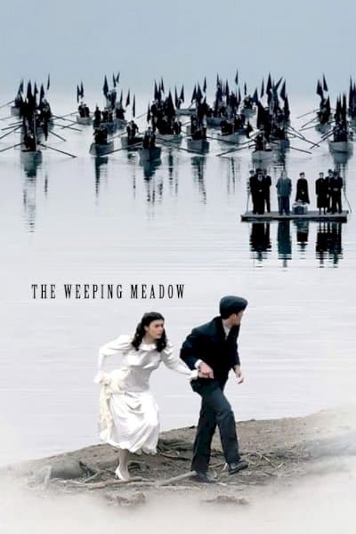 A Gaze at the Weeping Meadow