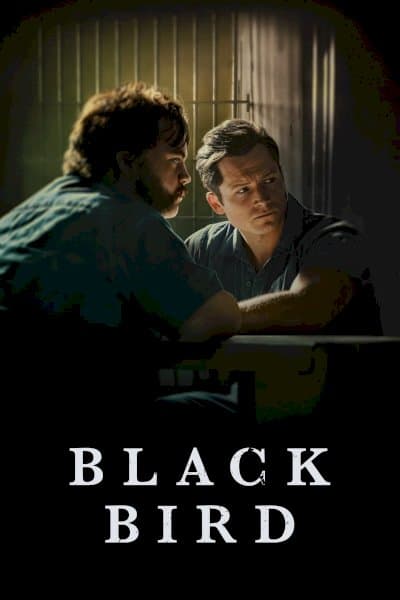 Black Bird