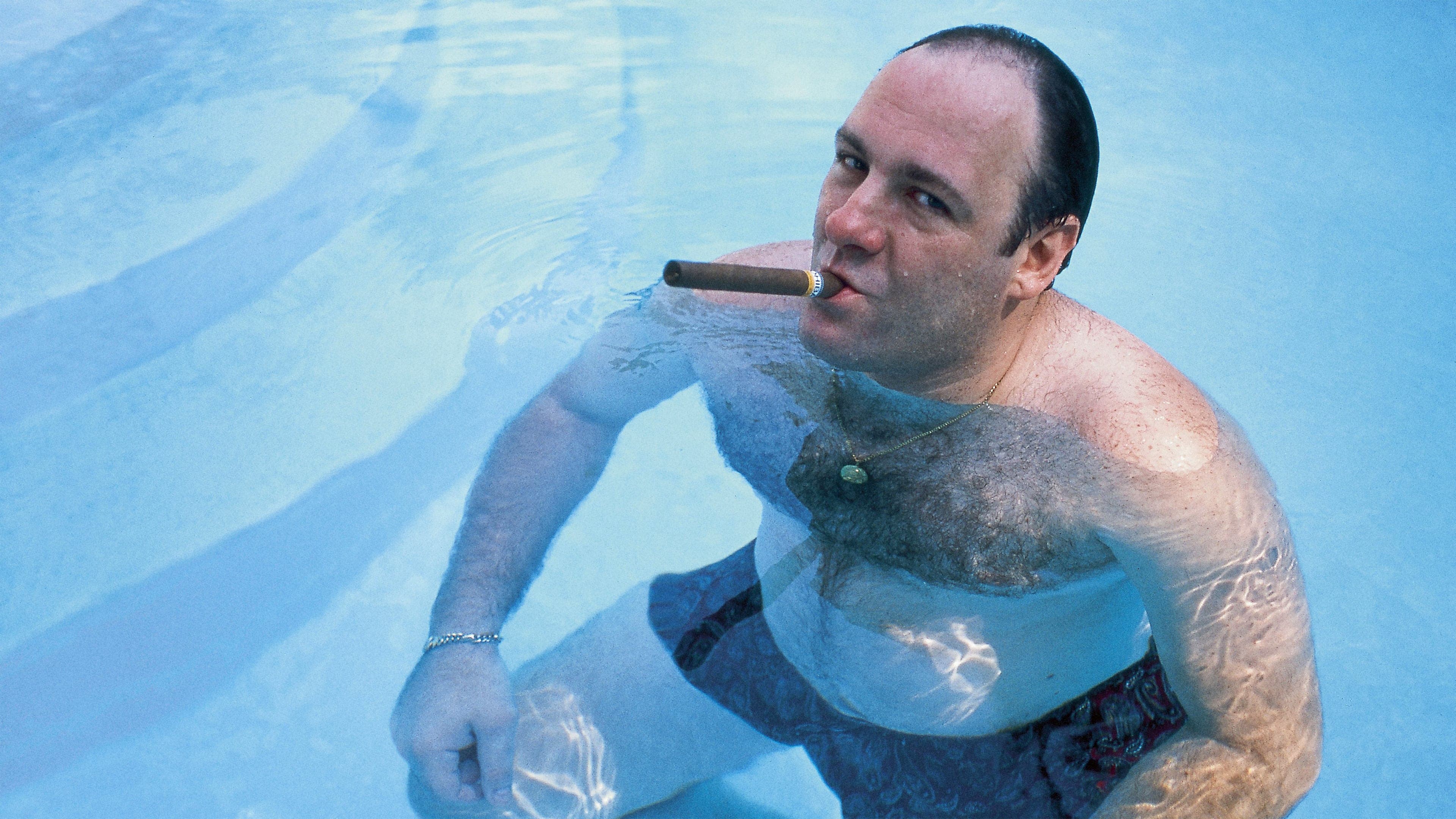 Wise Guy: David Chase and the Sopranos