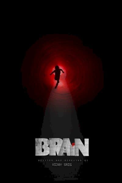Brain
