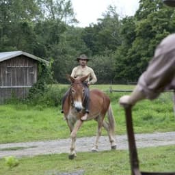Tim Guinee