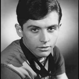 Burt Ward