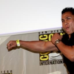 Cung Le