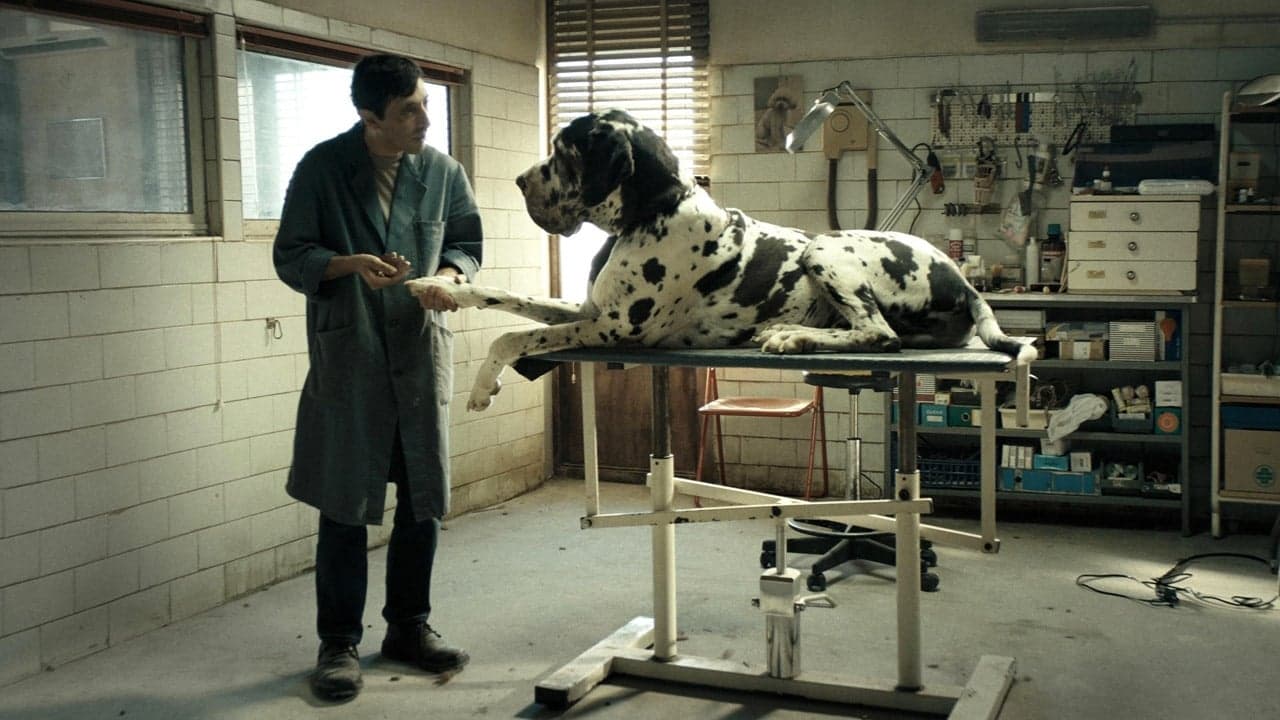 DogMan