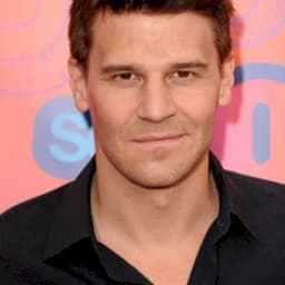 David Boreanaz